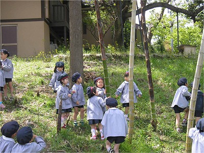 竹林を歩く園児達