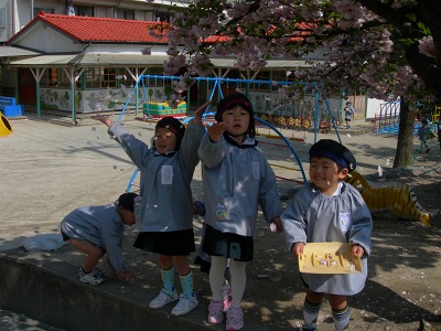 桜の花びらで遊ぶ園児達